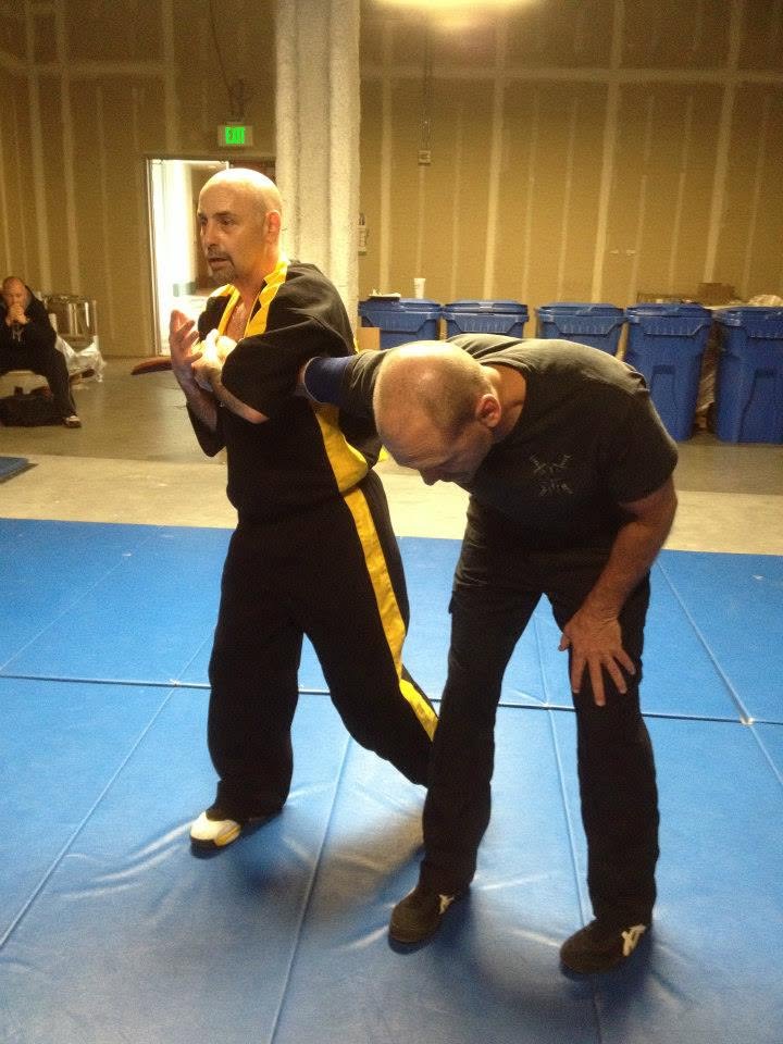 Soke Steven Williams demonstrating technique
