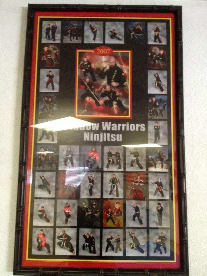 Framed collage of technique photos and belt ranks, 2007